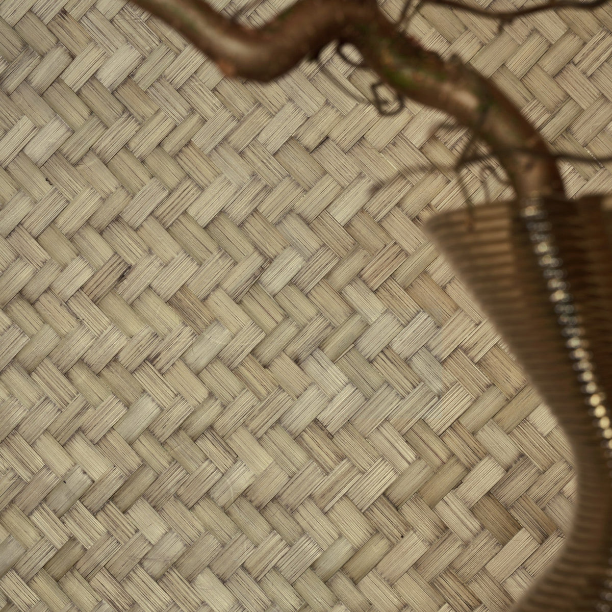 Bamboo Wallcovering Tapetenkollektion CMO Paris