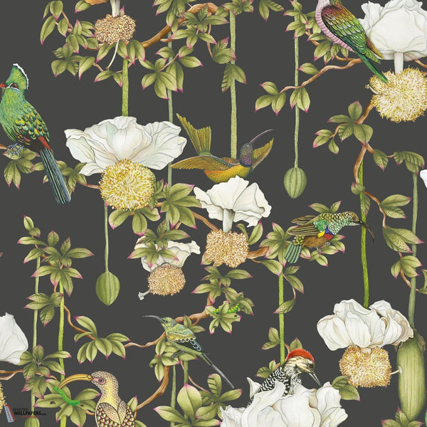 Baobab Botanica wallpaper-Cole & Son-Onyx-Roll-Selected Wallpapers-Interiors