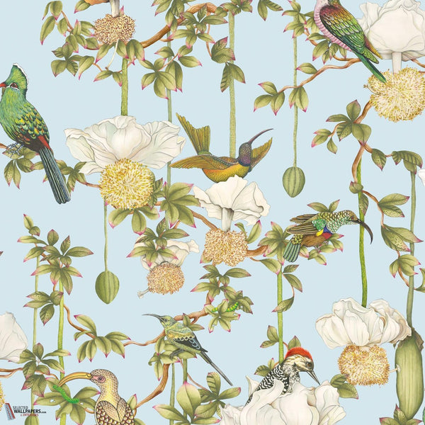 Baobab Botanica wallpaper-Cole & Son-Sky Blue-Roll-Selected Wallpapers-Interiors