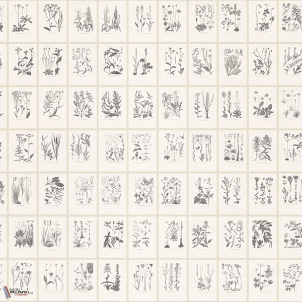 Botanica behang-Sandberg-Graphite-Mattic-M2-Selected Wallpapers-Interiors