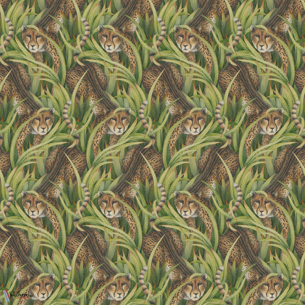 Cheetah Prowl Tapete-Cole & Son-Grass-Rolle-Selected Wallpapers-Interiors