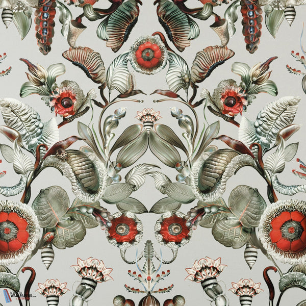 Coccinella Bella-Moooi-wallpaper-Stone Grey-Meter (M1)-Selected-Wallpapers-Interiors