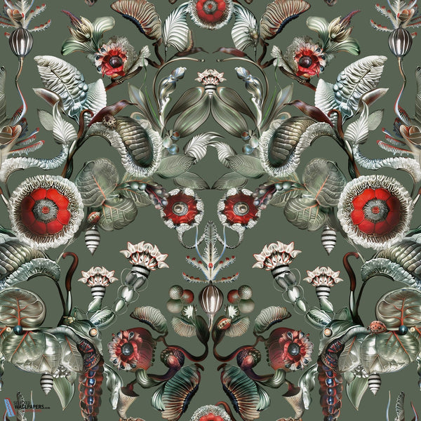 Coccinella Bella-Moooi-wallpaper-Sage Green-Meter (M1)-Selected-Wallpapers-Interiors