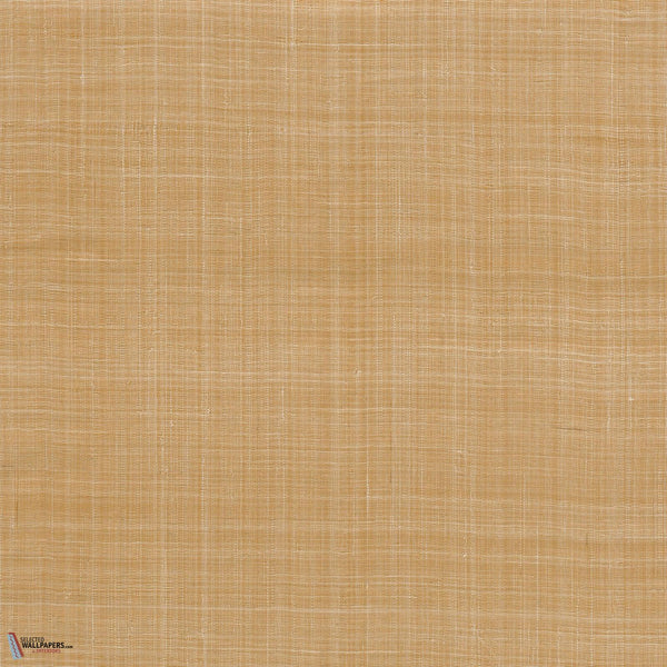 Diffuse Tapete-Arte-Burnt Orange-Meter (M1)-Selected Wallpapers-Interiors