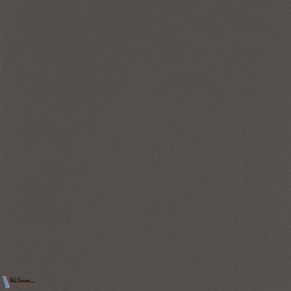 EOS color 2-Texdecor-wallpaper-1031-Meter (M1)-Selected Wallpapers