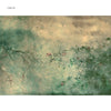 Heoridas Papyrus-Wallpaper-Coordonne-Selected Wallpapers