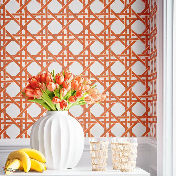Canary trellis Tapete-Thibaut-Selected Wallpapers-Interiors