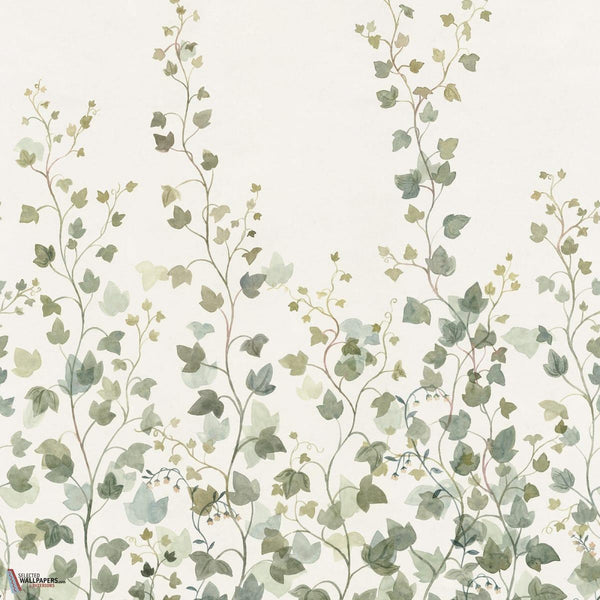 Ivy behang-Sandberg-Green-Mattic-M2-Selected Wallpapers-Interiors
