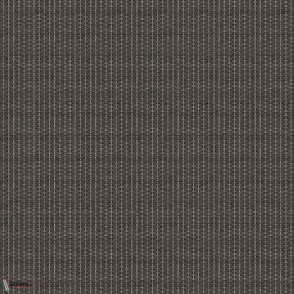 D00241