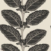 Lacinato wallpaper-Thibaut-Basalt black-Roll-Selected Wallpapers-Interiors