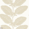 Lacinato wallpaper-Thibaut-Birch-Roll-Selected Wallpapers-Interiors