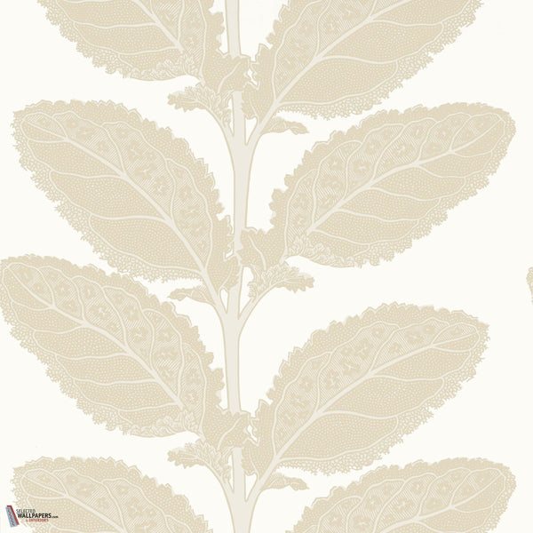 Lacinato wallpaper-Thibaut-Birch-Roll-Selected Wallpapers-Interiors