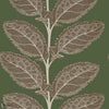 Lacinato wallpaper-Thibaut-Wild sage-Roll-Selected Wallpapers-Interiors