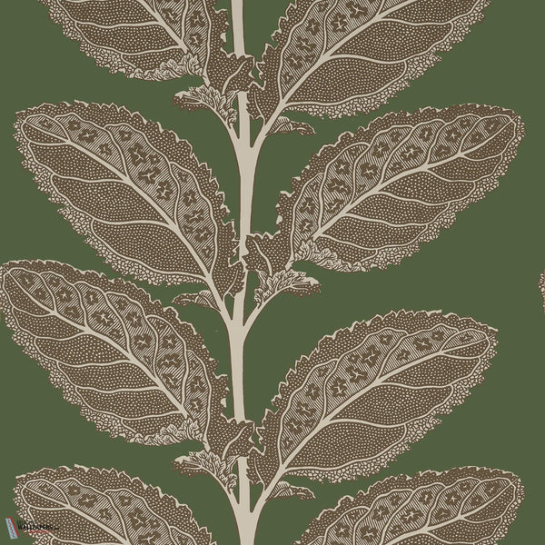 Lacinato wallpaper-Thibaut-Wild sage-Roll-Selected Wallpapers-Interiors