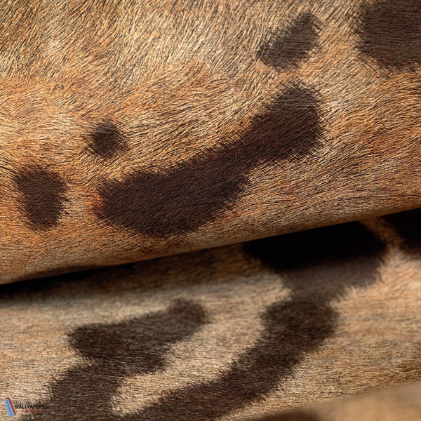 Leopard Tapete-Elitis-Selected Wallpapers & Interiors