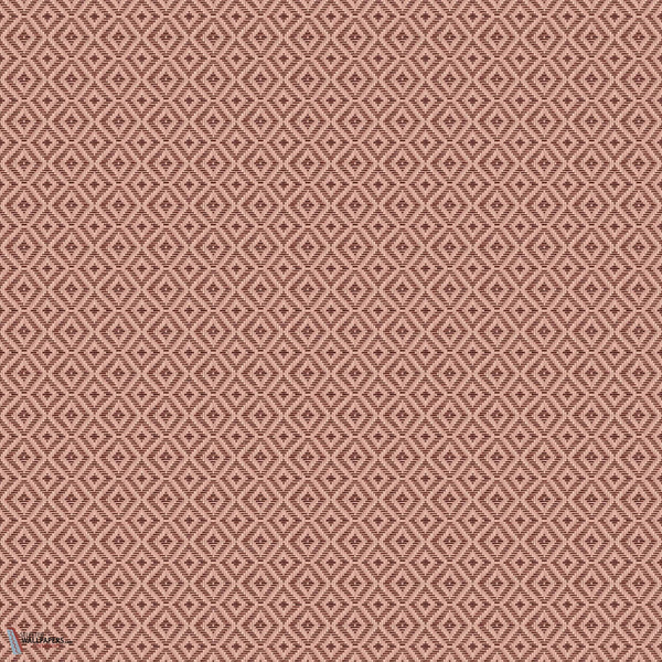D00242