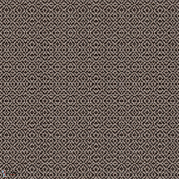 D00244