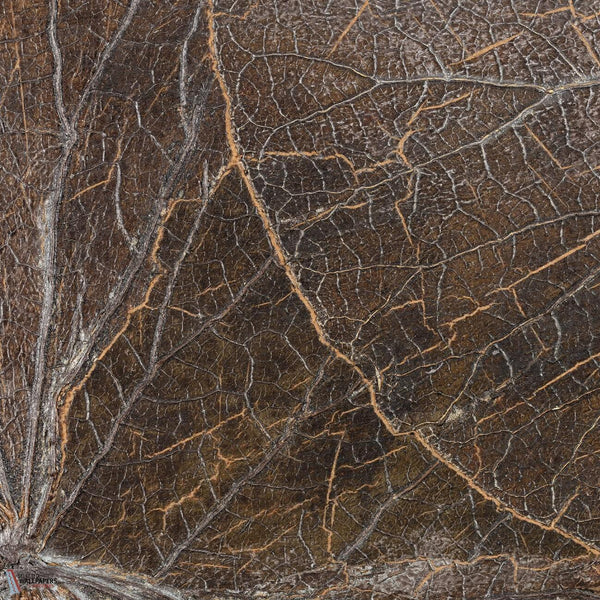 Nenuphar Sauvage Tapete-CMO Paris-Ecorce-Rolle-Selected Wallpapers-Interiors