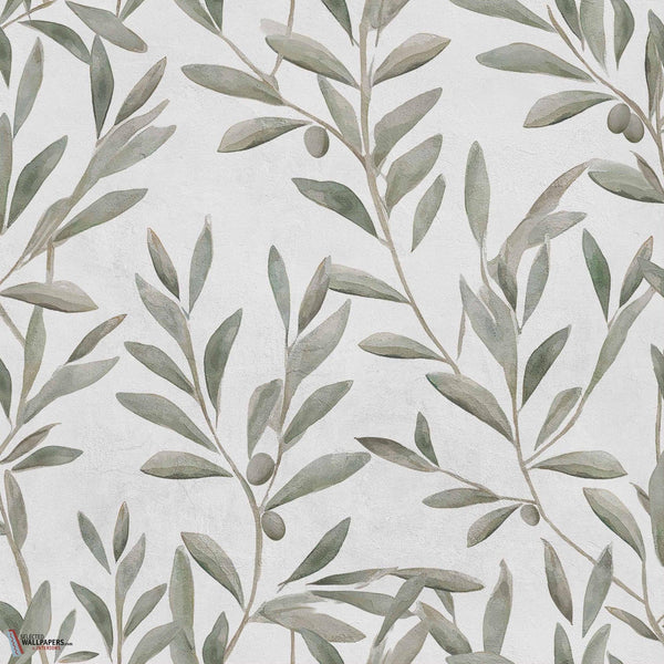 Olivetum Tapete-Coordonne-Matcha-Non Woven-Rolle-Selected Wallpapers-Interiors