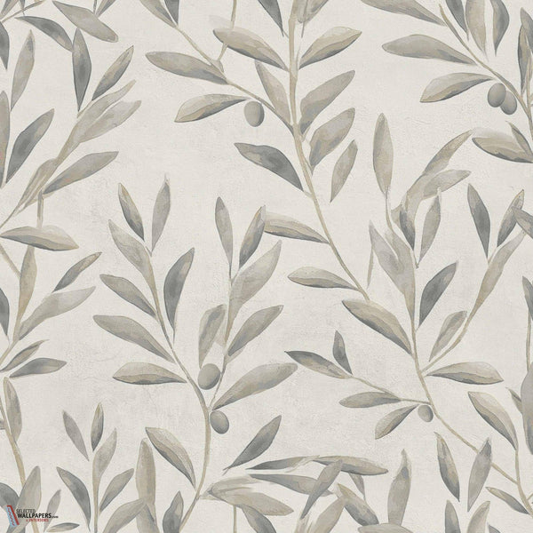 Olivetum Tapete-Coordonne-Nacre-Non Woven-Rolle-Selected Wallpapers-Interiors