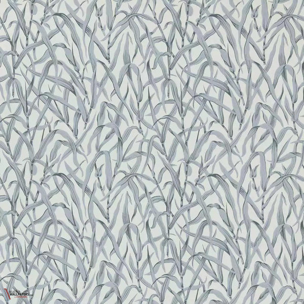 Ornamental Grasses wallpaper-1838 wallcoverings-Selected Wallpapers & Interiors