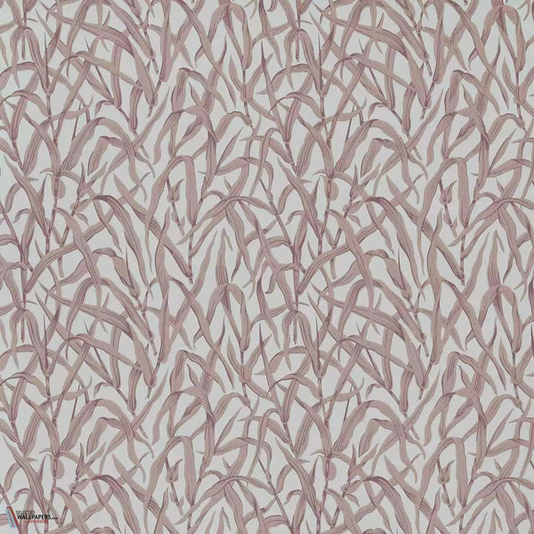 Ornamental Grasses wallpaper-1838 wallcoverings-Selected Wallpapers & Interiors