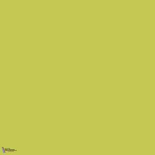 Little Greene Pale Lime 70 Farbe