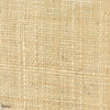 Raphia Pur Tapete-CMO Paris-Blond-Meter (M1)-Selected Wallpapers-Interiors