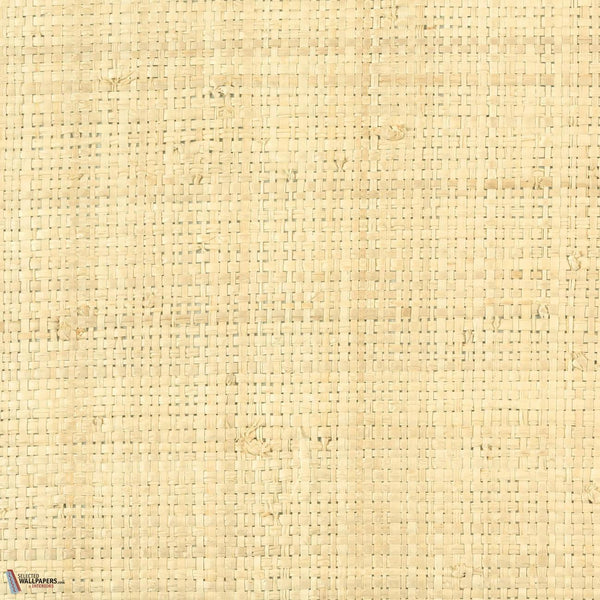 Raphia Pur Tapete-CMO Paris-Natural-Meter (M1)-Selected Wallpapers-Interiors