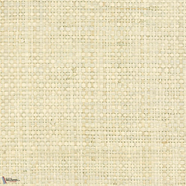 Raphia Pur Tapete-CMO Paris-Polaire-Meter (M1)-Selected Wallpapers-Interiors