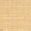 Raphia Tapete-CMO Paris-Sauvage Miel-Meter (M1)-Selected Wallpapers-Interiors