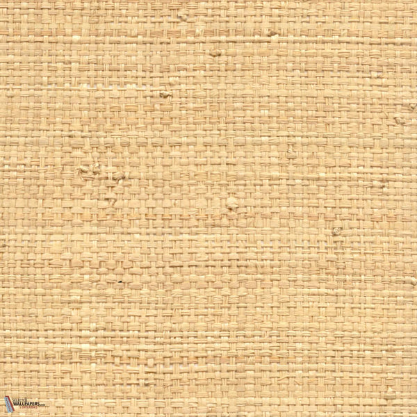 Raphia Tapete-CMO Paris-Sauvage Miel-Meter (M1)-Selected Wallpapers-Interiors