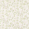 Romey`s Garden-Tapete-Zoffany-Blossom-Rolle-311338-Selected Wallpapers