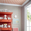 Sand dollar Tapete-Thibaut-Selected Wallpapers-Interiors