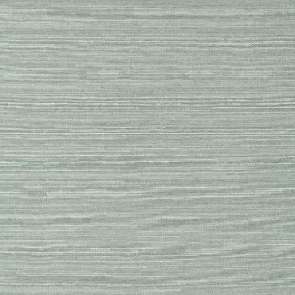 Shang Extra Fine Sisal-Thibaut-Mineral-Roll-Selected-Wallpapers-Interiors