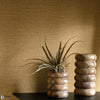 Soft 2-Texdecor-wallpaper-Selected Wallpapers