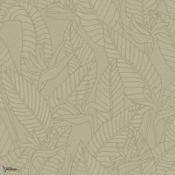 Strelitzia Tapete-Arte-Olive-Rolle-Selected-Wallpapers-Interiors