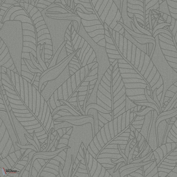 Strelitzia Tapete-Arte-Teal-Rolle-Selected-Wallpapers-Interiors