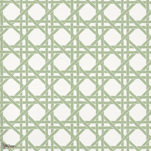 Canary trellis Tapete-Thibaut-Willow-Rolle-Selected Wallpapers-Interiors