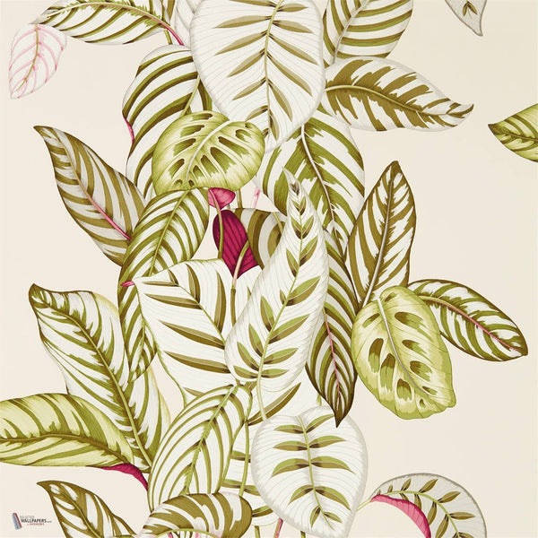 Calathea behang in Olive van Sanderson