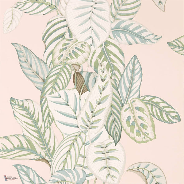 Calathea behang in Orchid van Sanderson