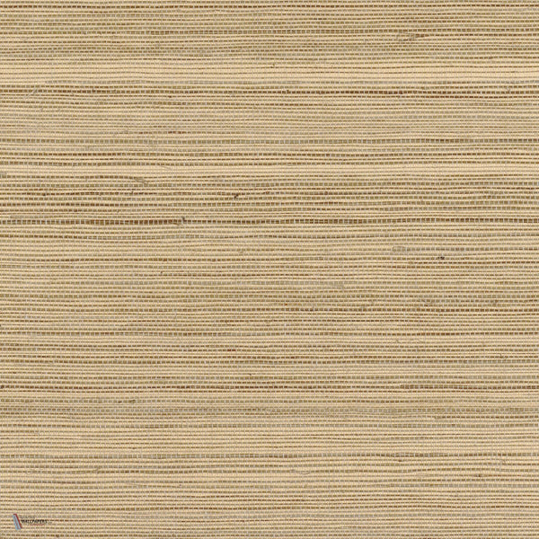 Picta wallpaper in Cappuccino by Casamance