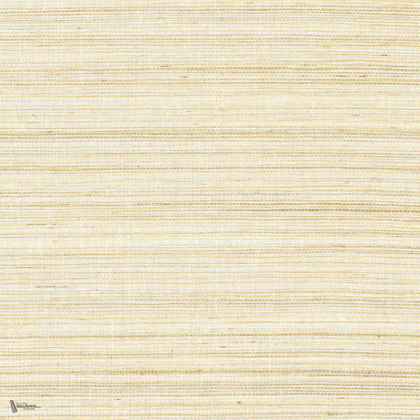 Picta wallpaper in Ecru by Casamance
