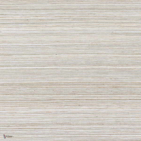 Picta wallpaper in Gris Clair by Casamance