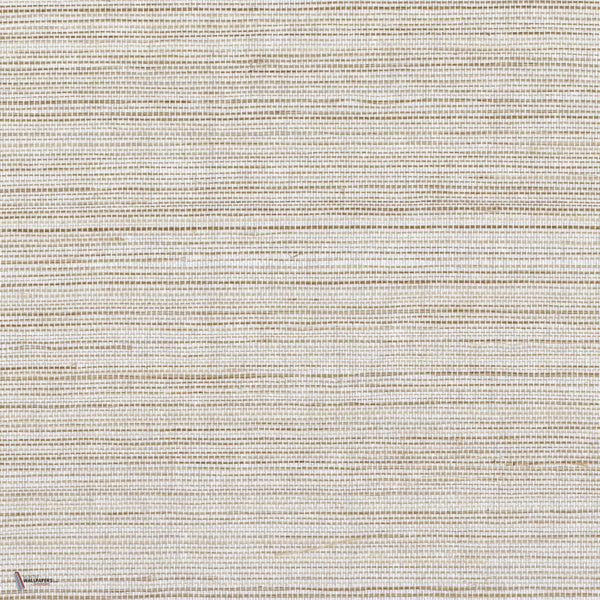 Picta wallpaper in Sable by Casamance