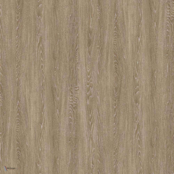 Chene Grise wallpaper in Grand Beige van Nobilis