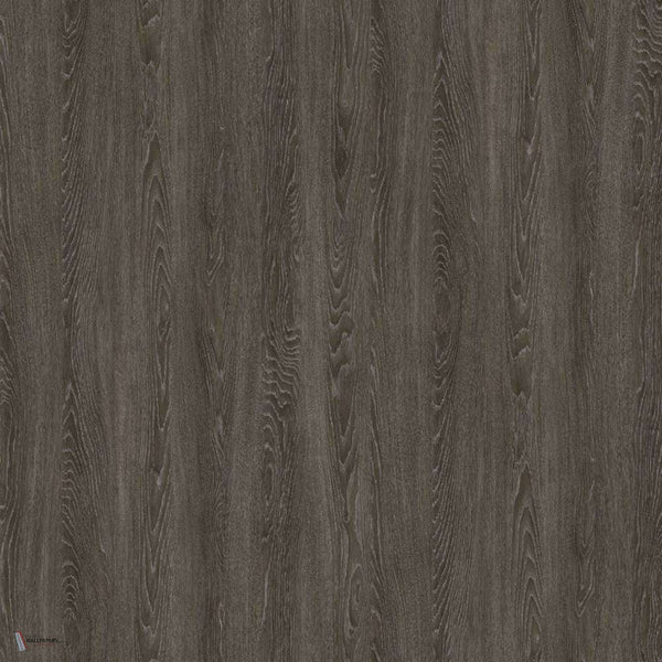 Chene Grise wallpaper in Grand Taupe van Nobilis