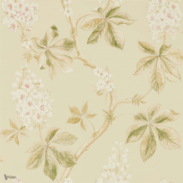 Chestnut Tree wallpaper in Coral/Bayleaf van Sanderson
