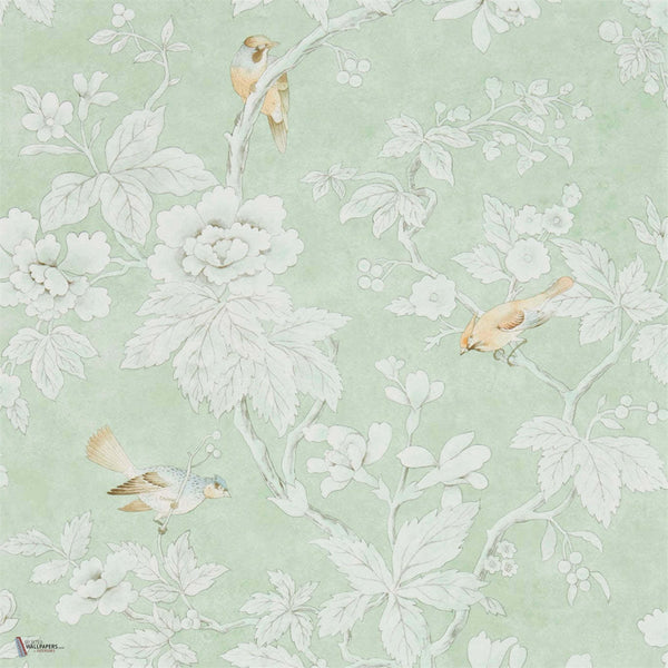 Chiswick Grove wallpaper in Sage van Sanderson
