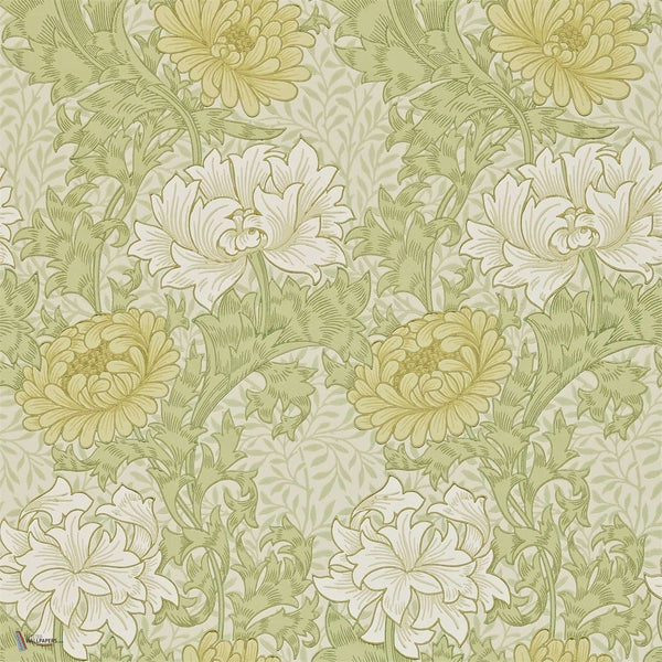 Chrysanthemum wallpaper in Pale Olive van Morris & Co